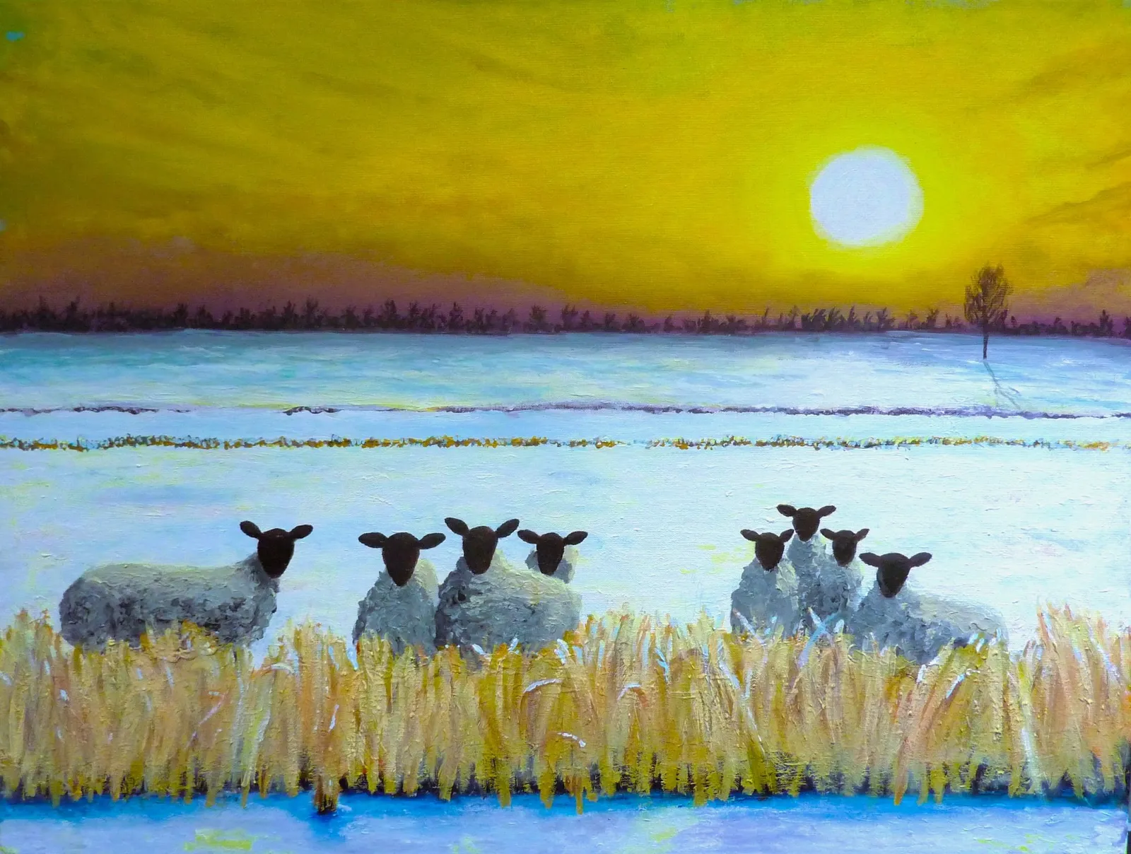 Schapen bij Waverveen · 2023 · 60×80 cm