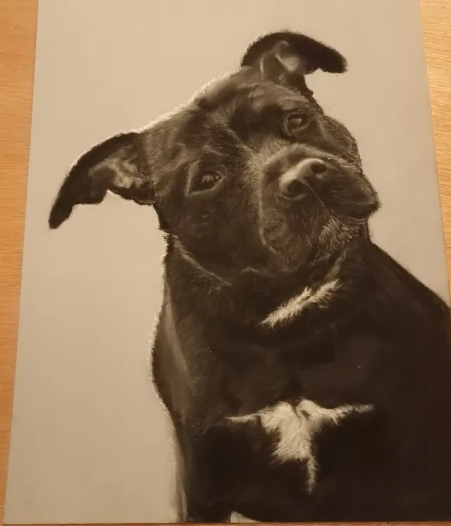 Amstaff