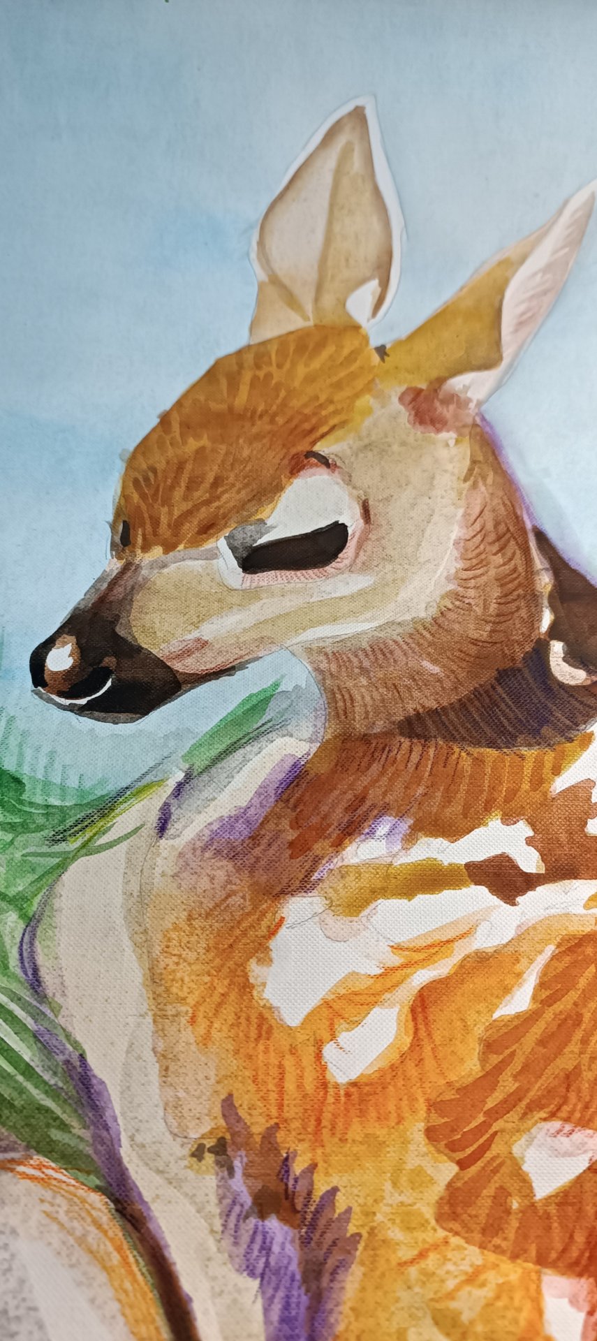 Fawn