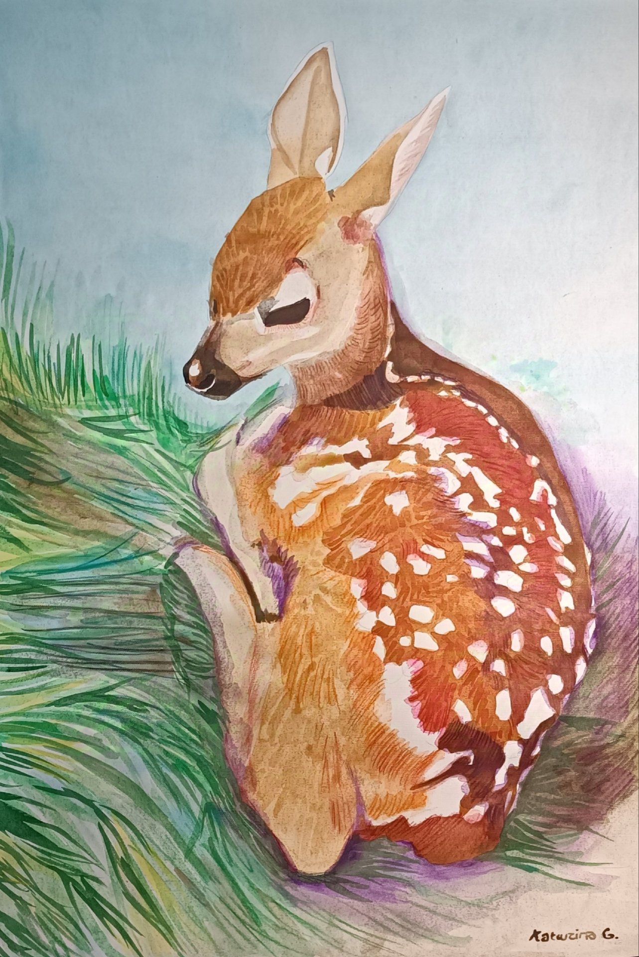 Fawn