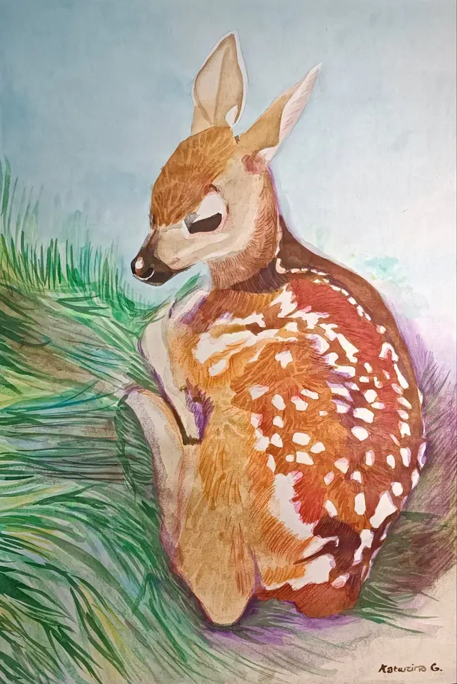 Fawn