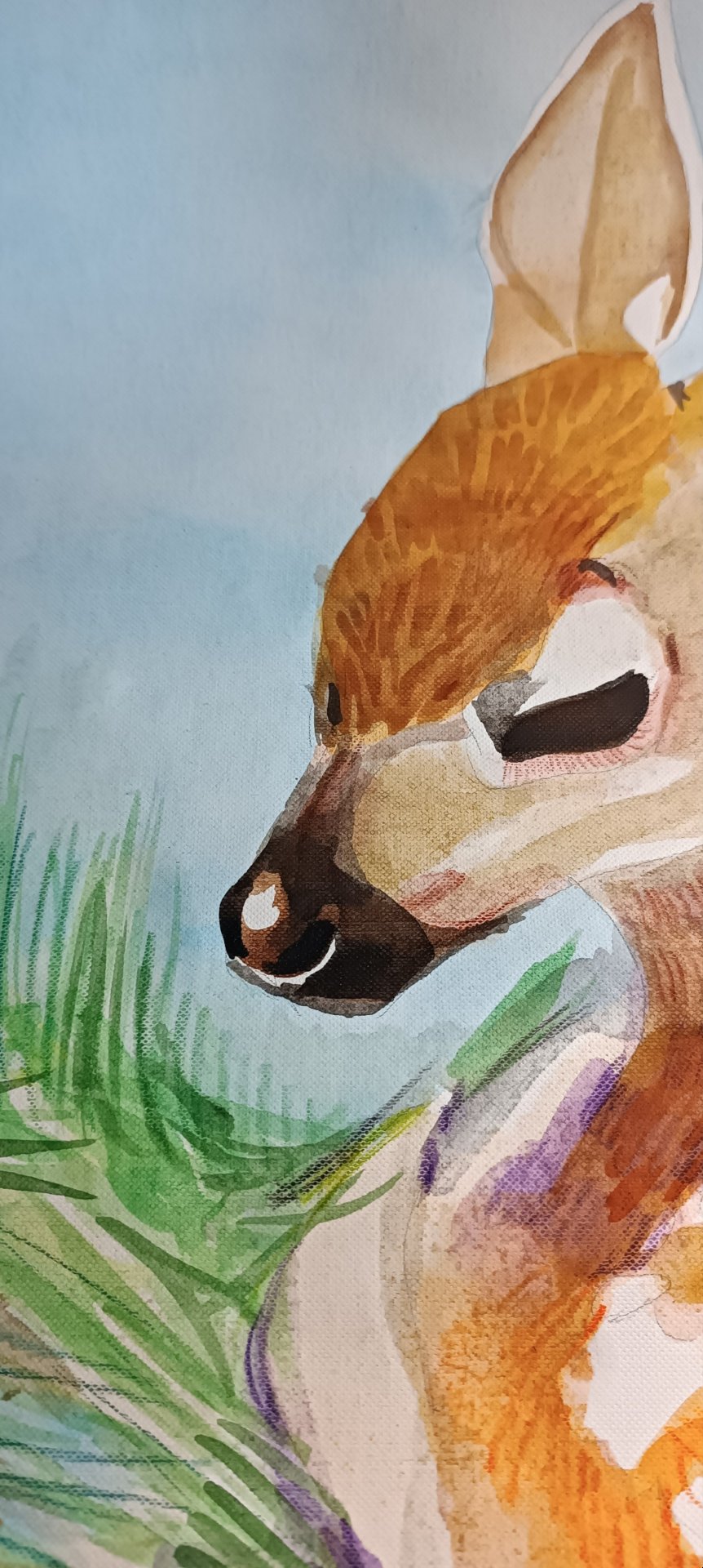 Fawn