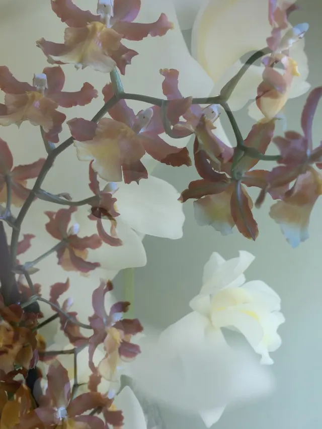 flora