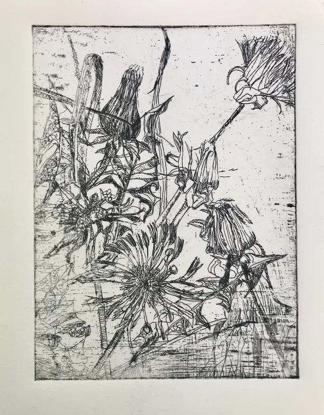 dandelion