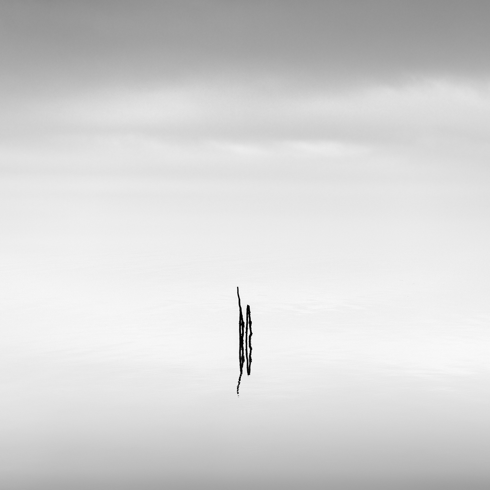 Poles, limited edition 1/5