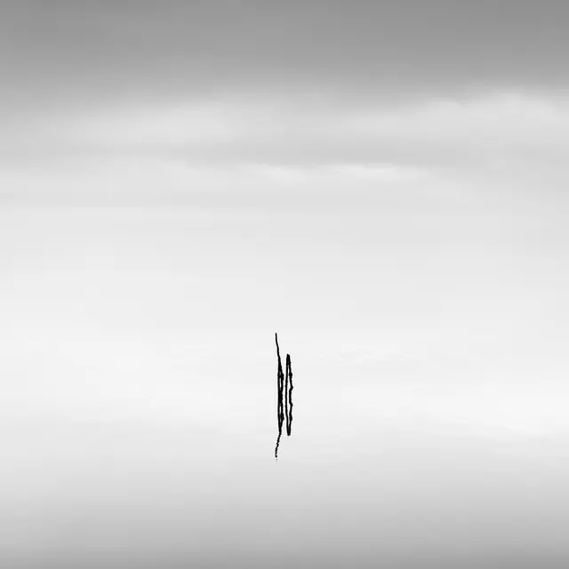 Poles, limited edition 1/5