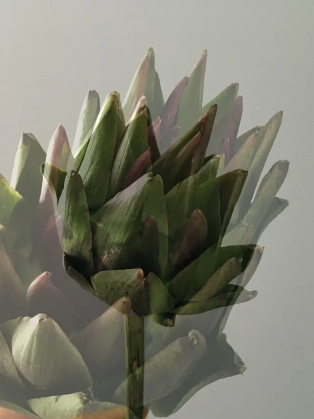 flora