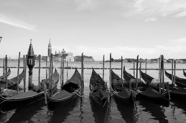 Venice II