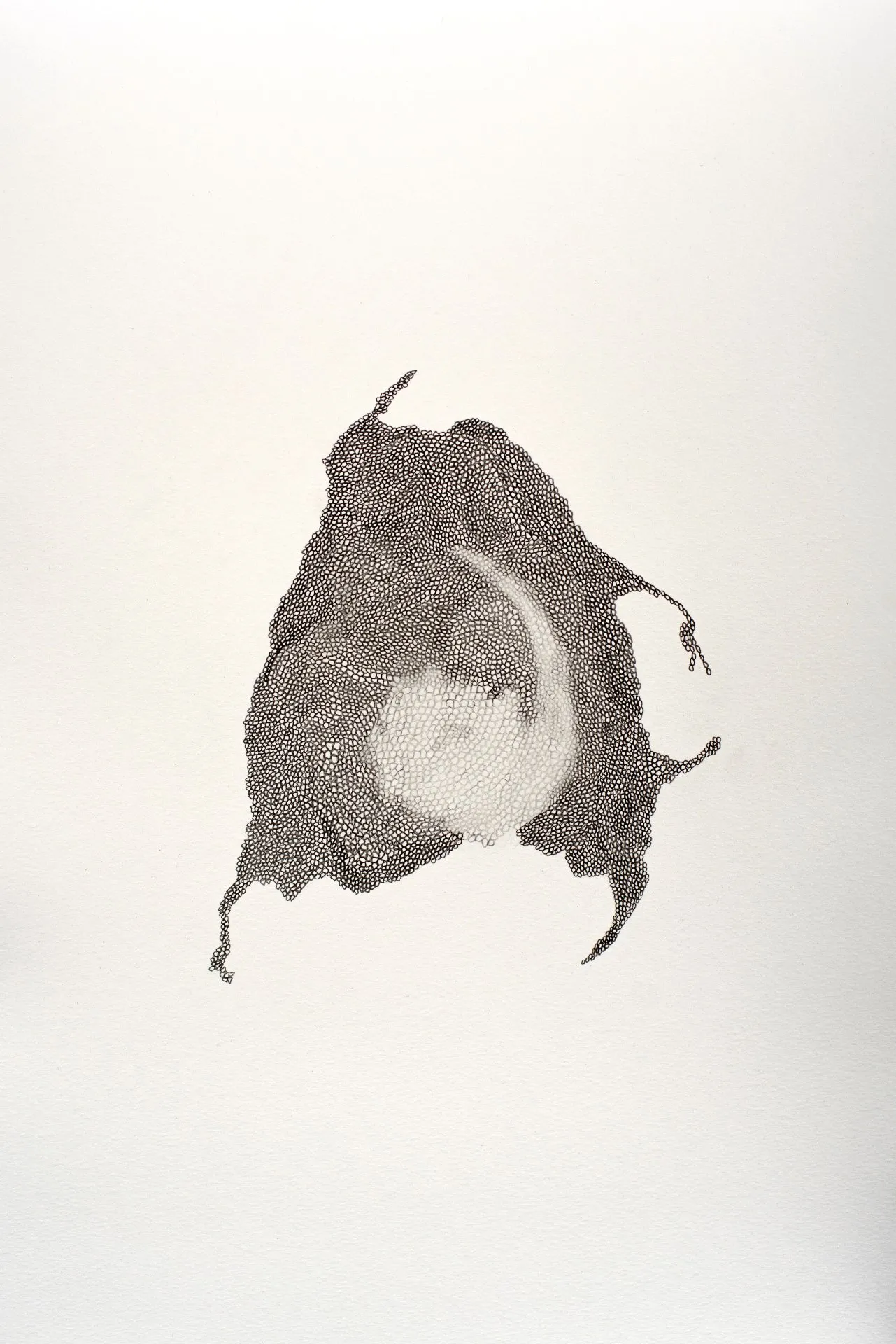 Surprise · 2021 · 50×65 cm