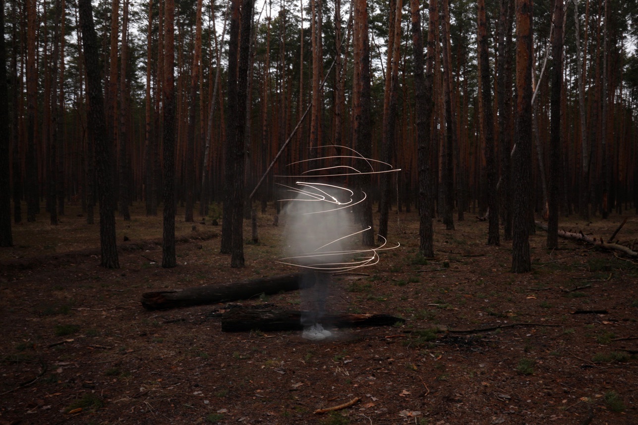 the light in these woods