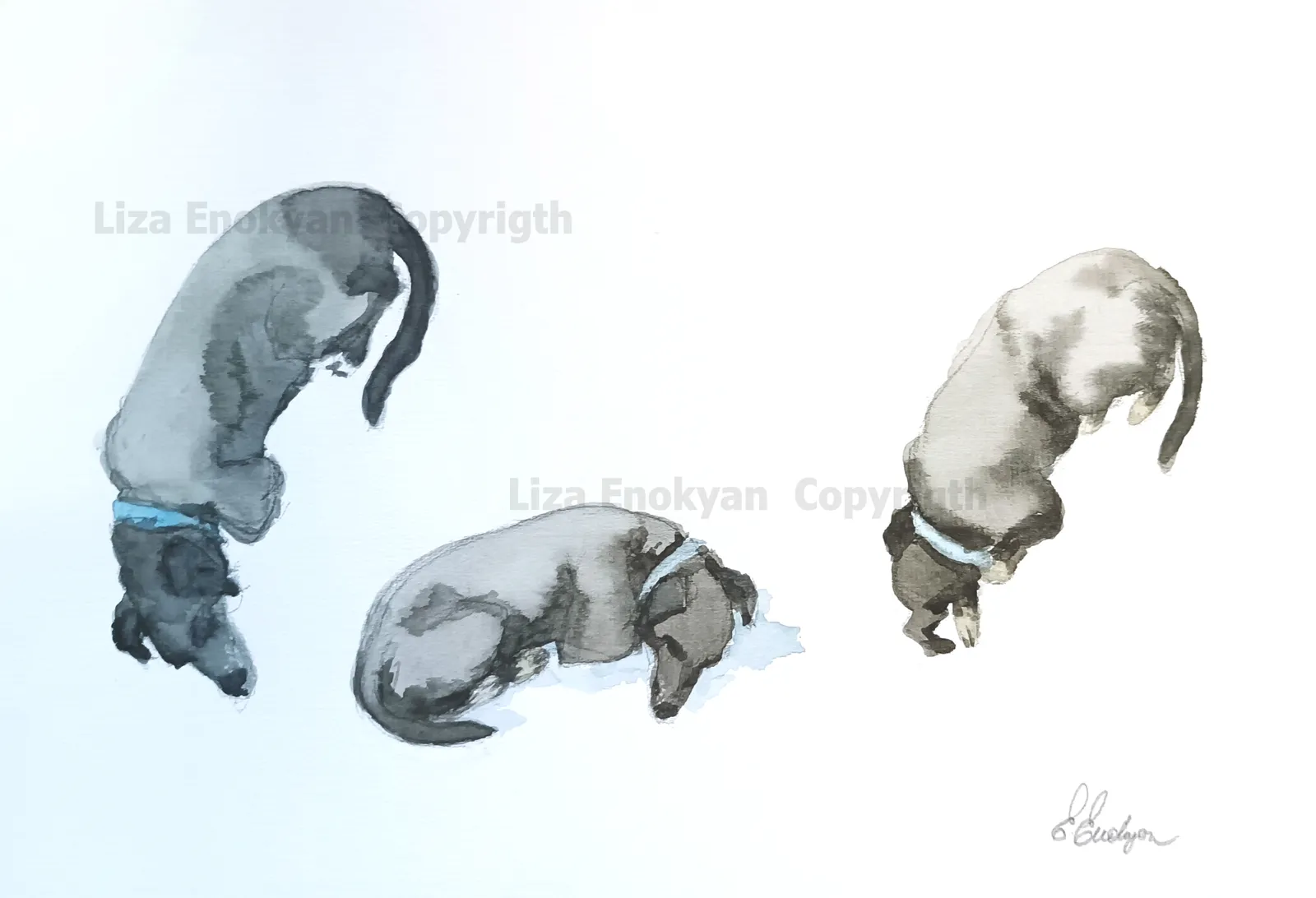Dogs resting · 2019 · 30×20 cm