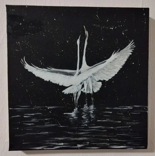 Two under the night sky