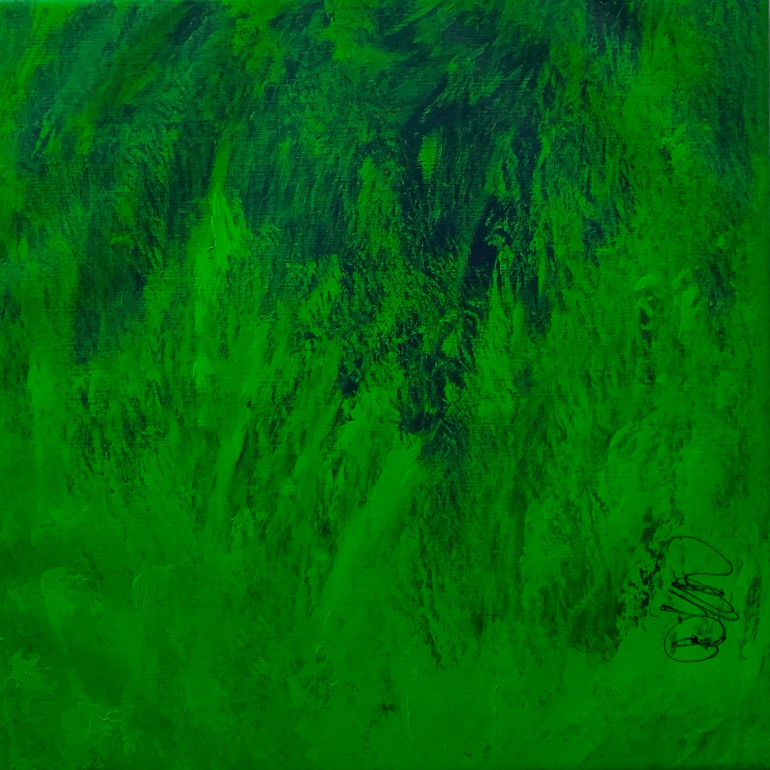 DS20011