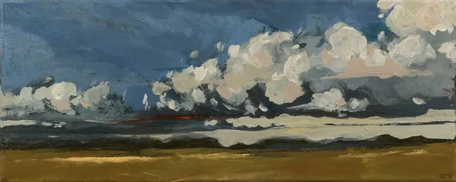 STORM IS COMING