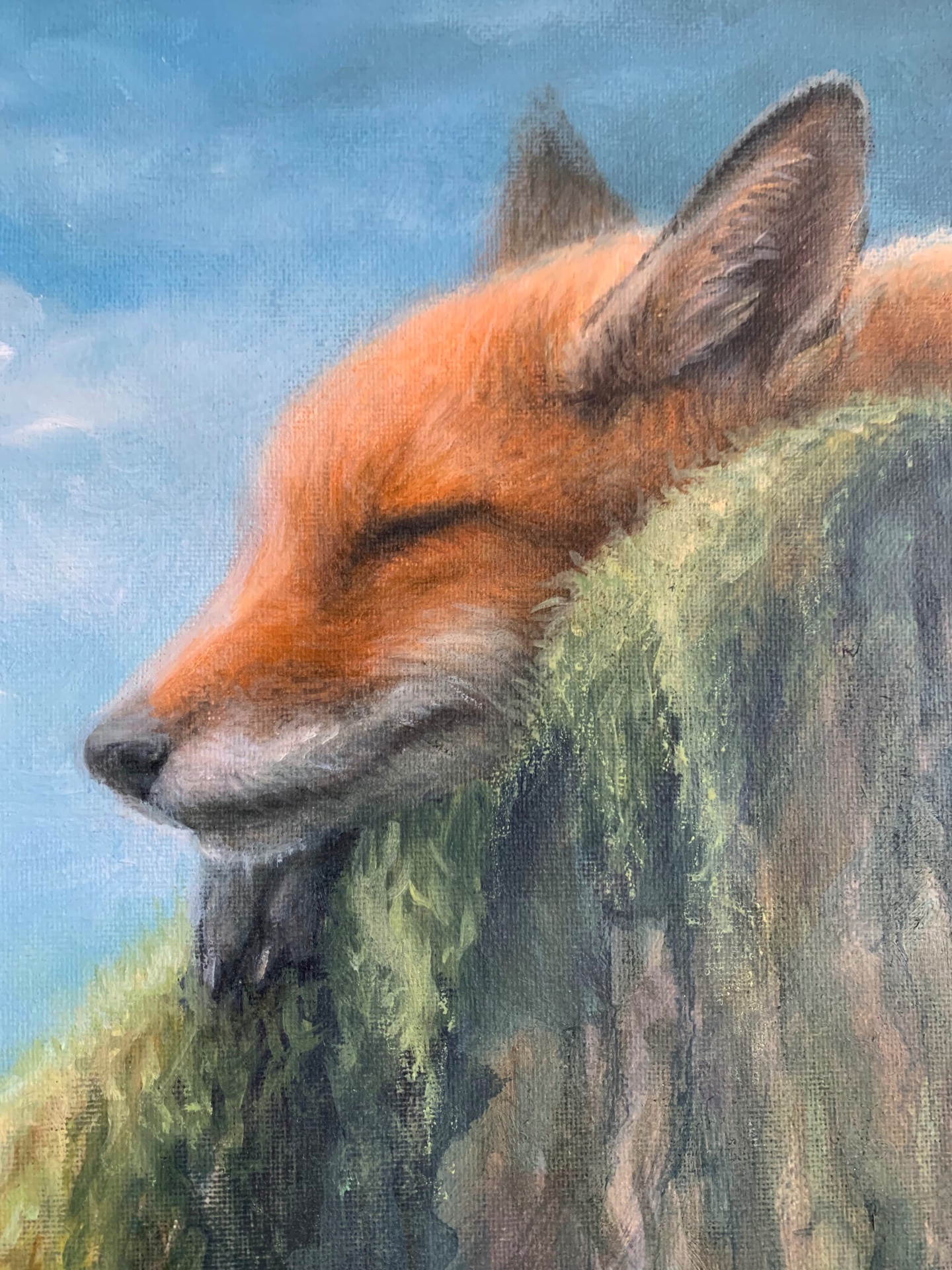 Summer siesta