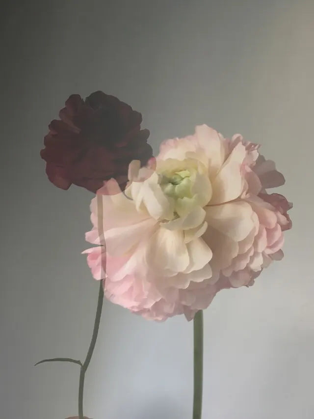 flora
