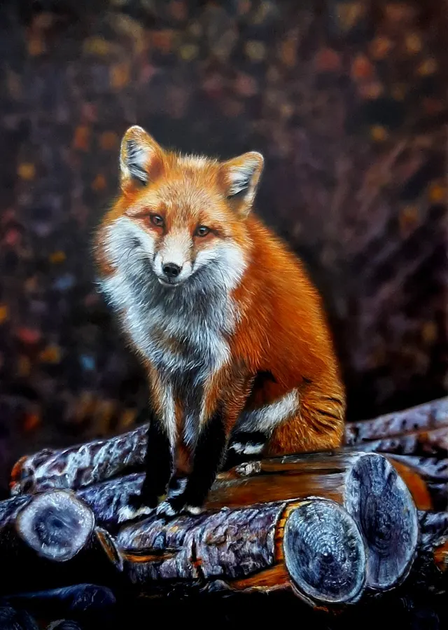 Fox Serenity