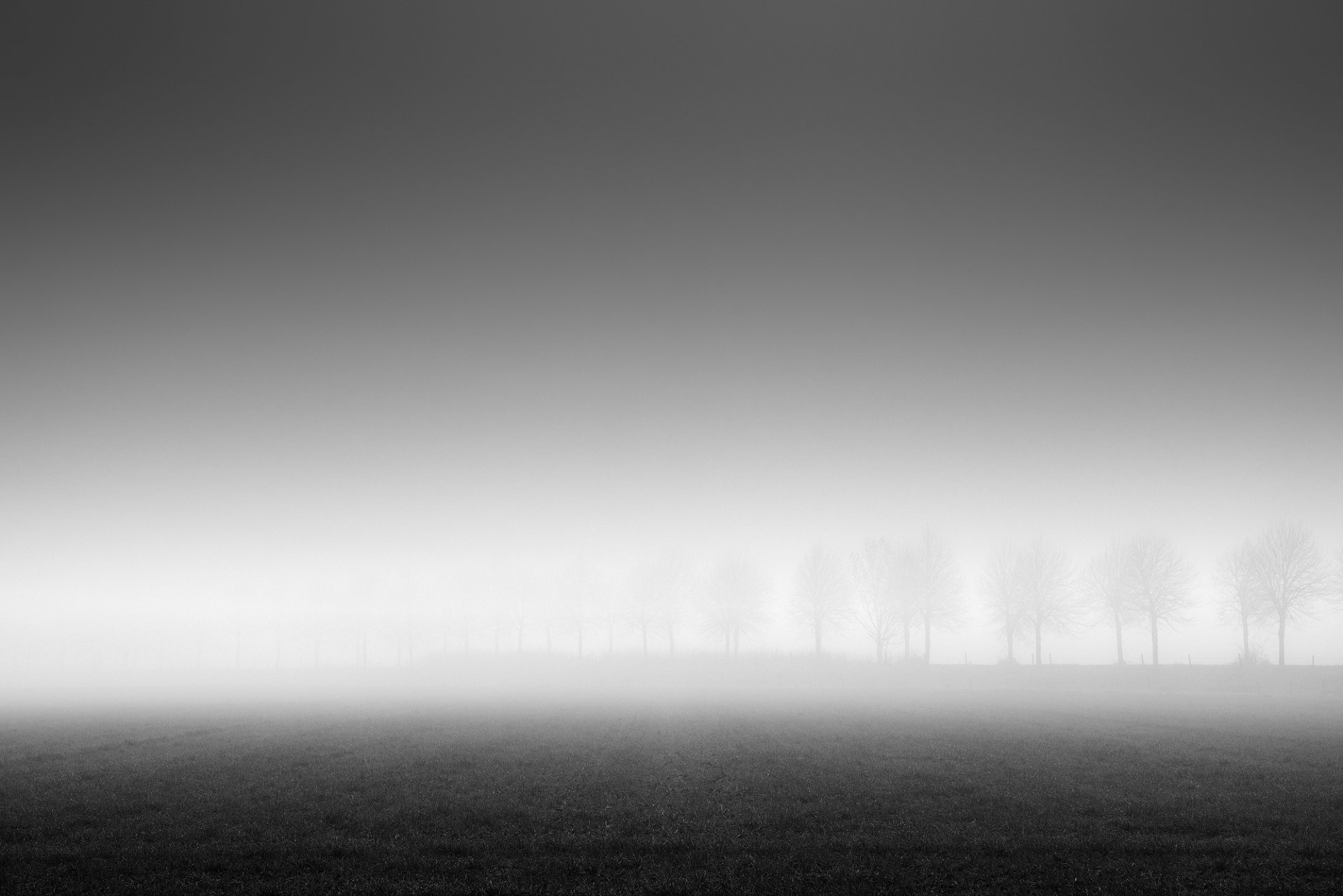 Dike in the Mist, limited edition 1/5