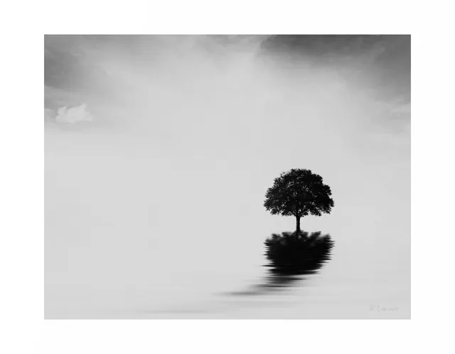 Isolation