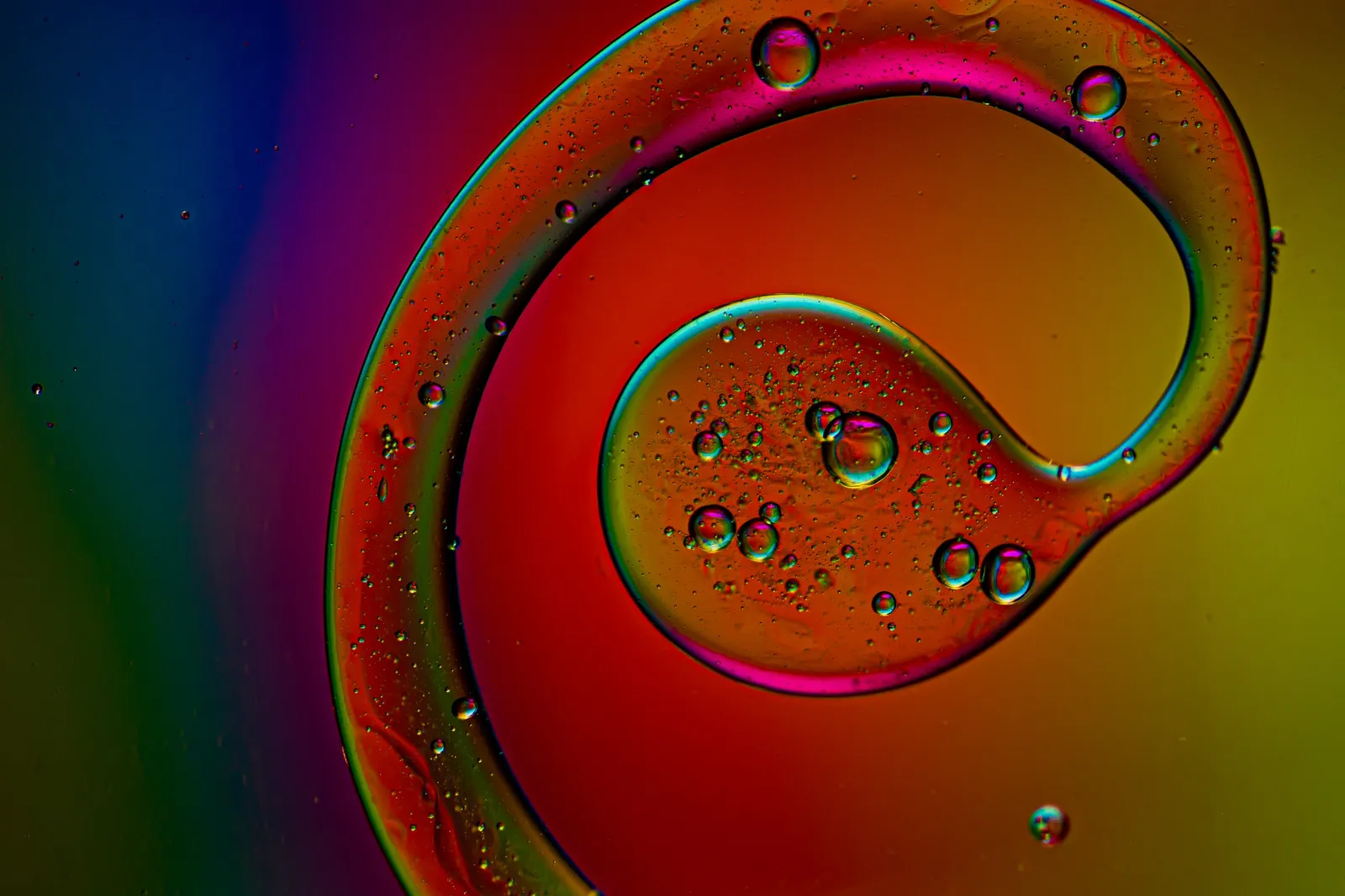 Colors of the rainbow · 2021 · 130×86 cm