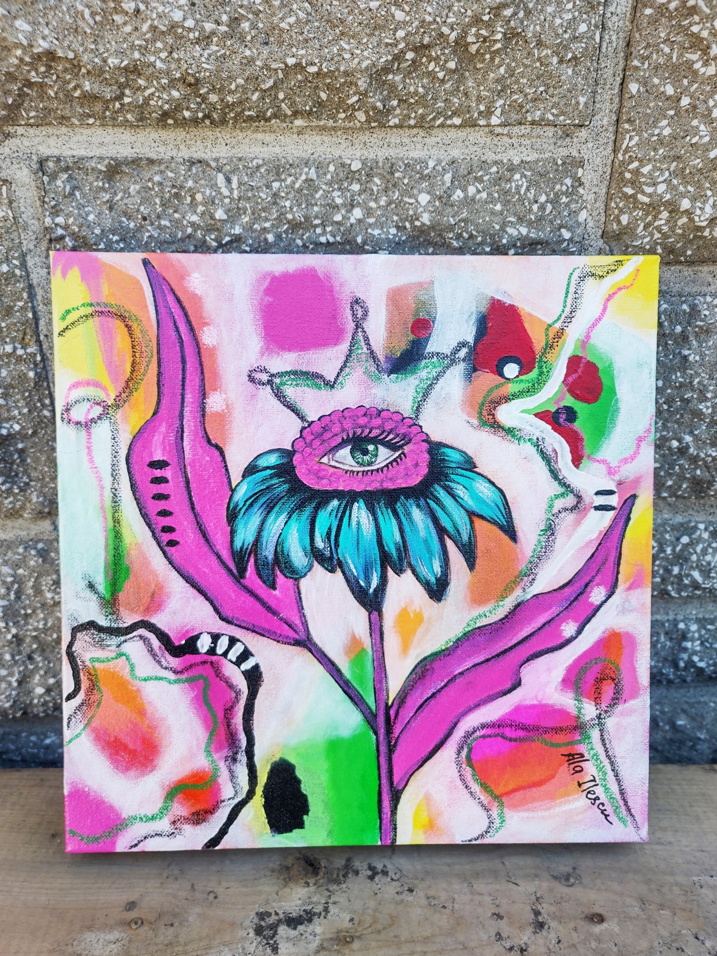Queen Echinacea