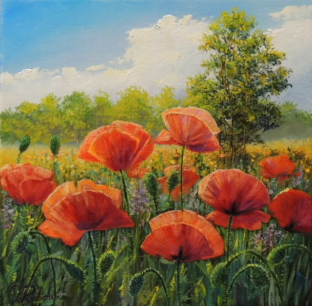 Midsummer poppies