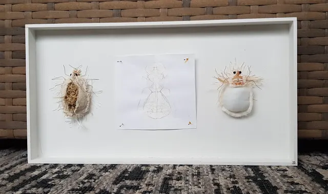 Curieus Liefhebber (nummer 20)