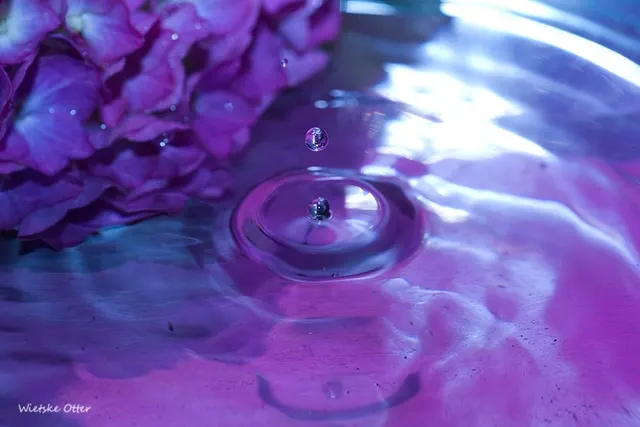 The Art of Water 6