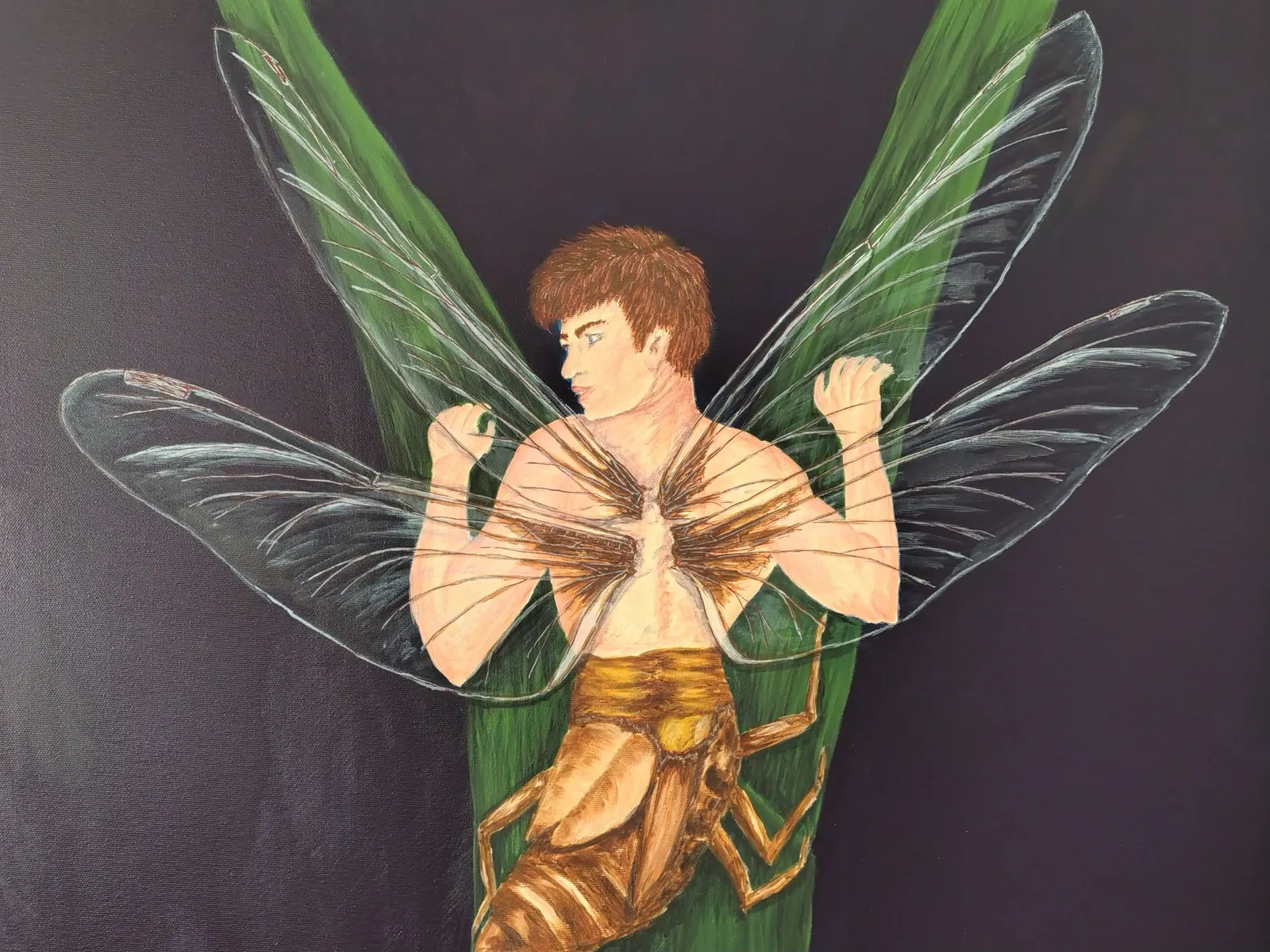 Metamorphosis VI · 2026 · 70×60 cm