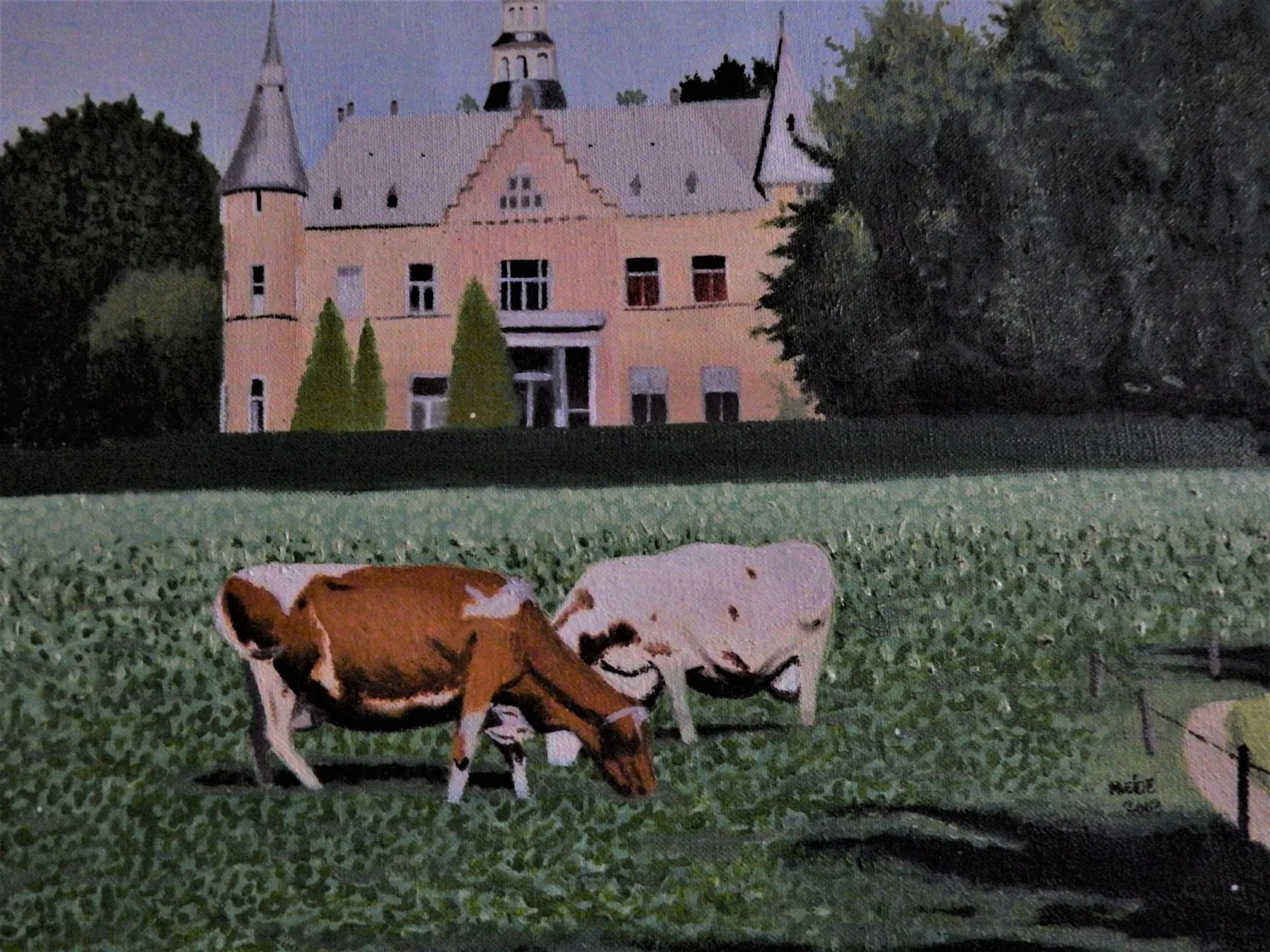 kasteel met koeien in veld — 3