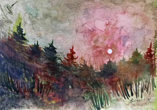 Sunset in nature