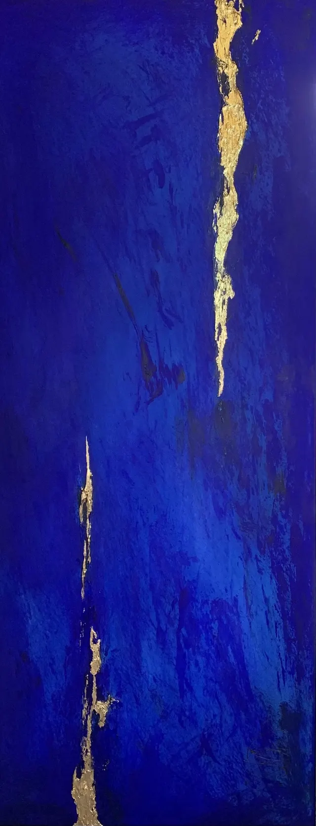 DS22003