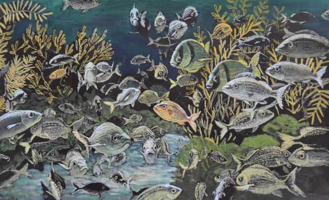 Underwater World/Onderwaterwereld