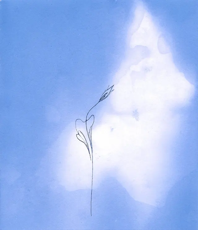 ...reaching for the Light. Print E
