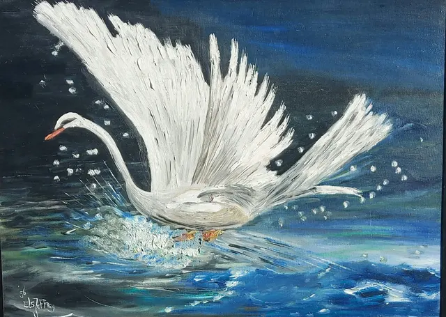 Schoonheid op het water / Beauty on the water