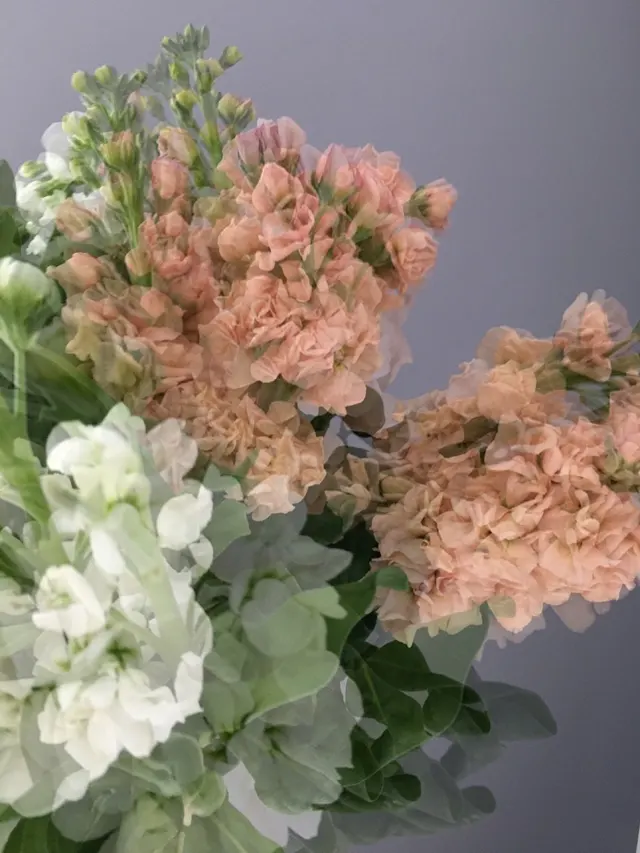 flora