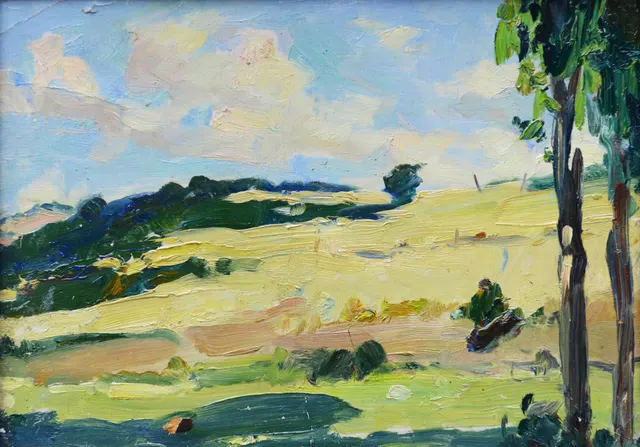 The Landscape