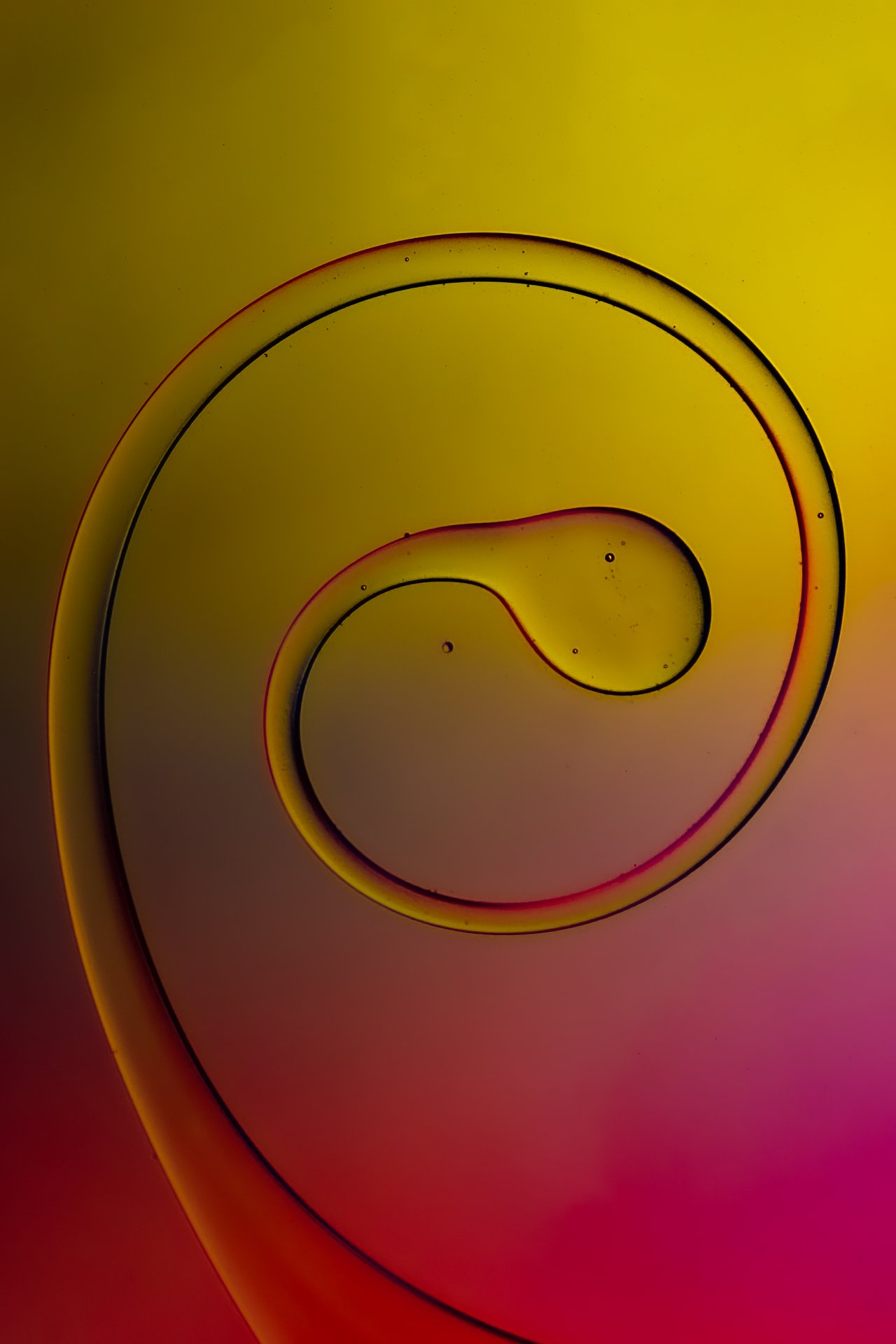 Hypnotized
