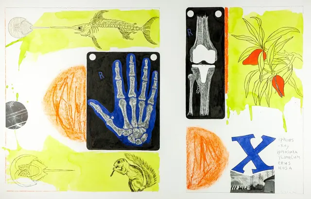 Alphabet Drawing (X)