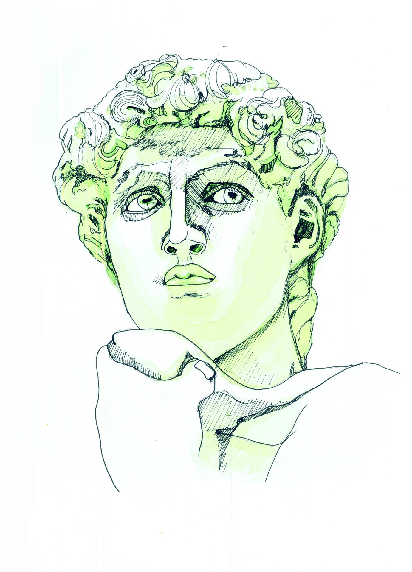 David
