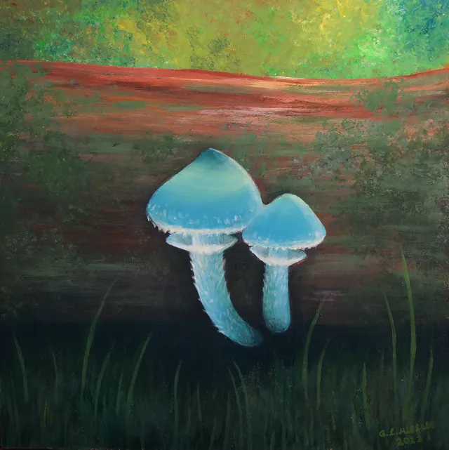 Stropharia Aeruginosa