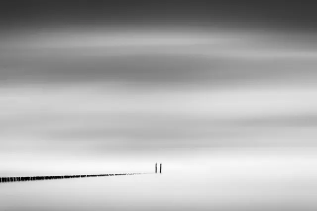 Seagulls, limited edition 1/5