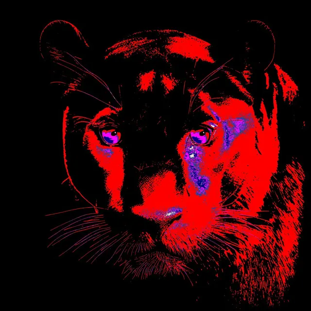 Cougar II