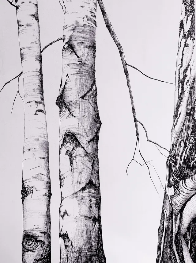 Birches study
