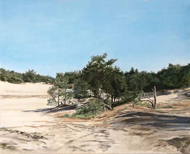 Loonse & Drunense Duinen