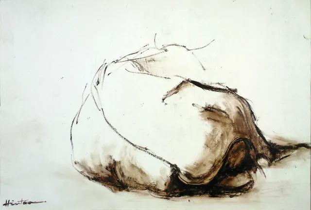 Resting cow 5