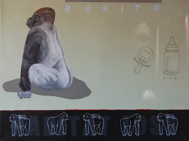 Bokito