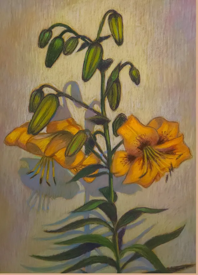 Yellow lilies