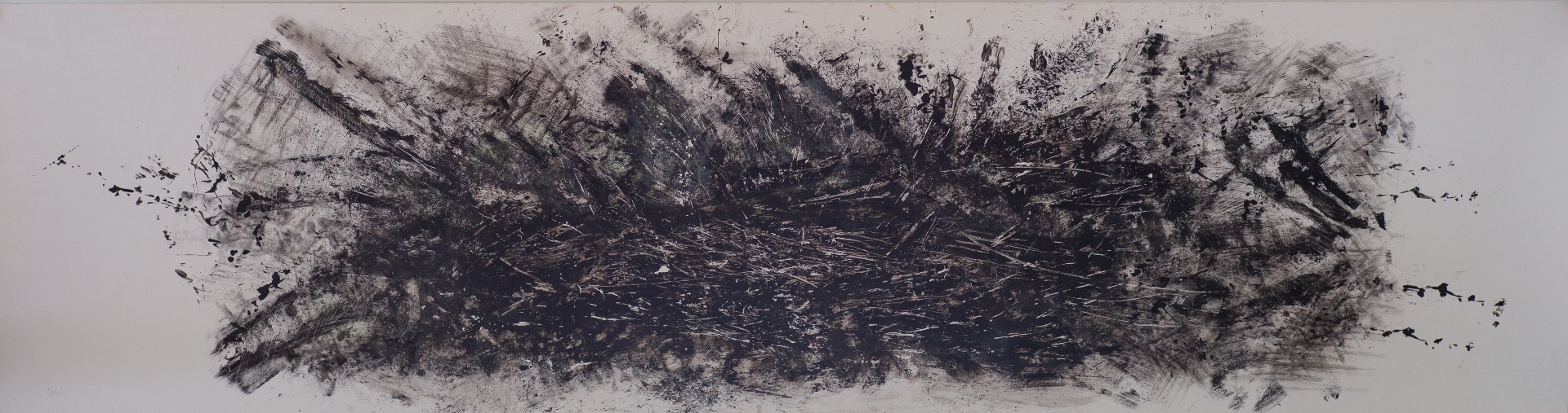 Burnt landscape