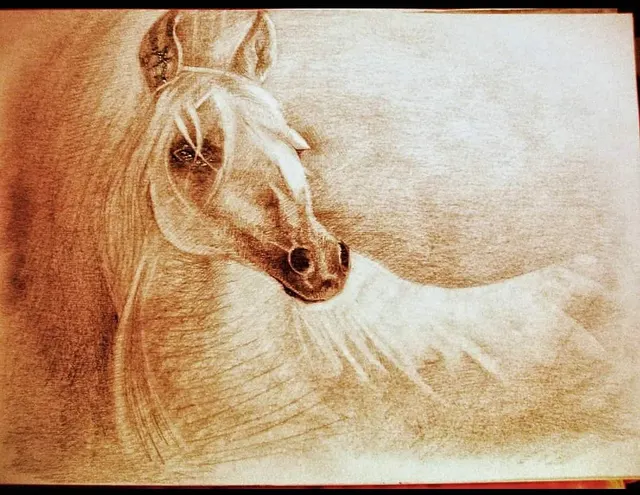 Horses